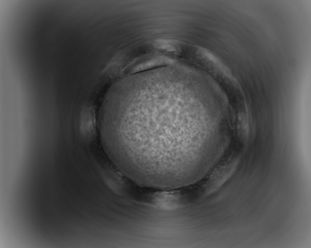 X0000099980320200806131404