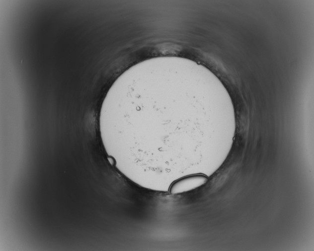 X0000099980321200806131404