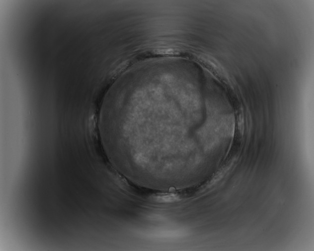 X0000099980322200806131404