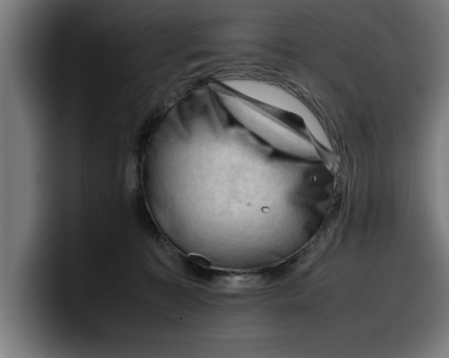 X0000099980323200806131404