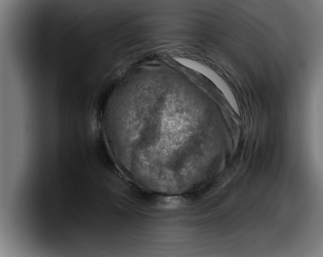 X0000099980324200806131404