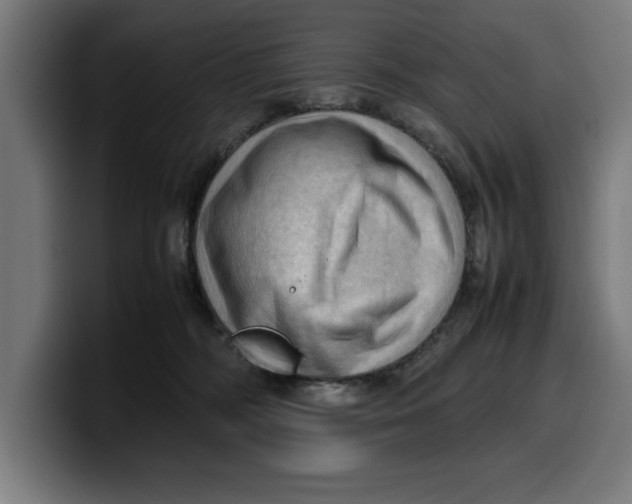 X0000099980326200806131404