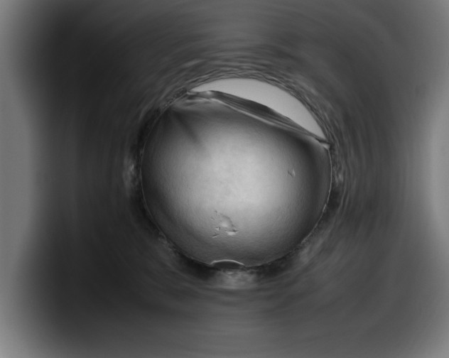 X0000099980327200806131404