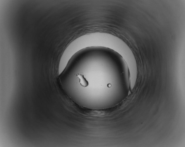 X0000099980328200806131404