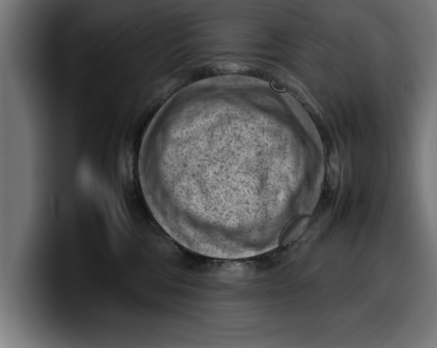 X0000099980330200806131404