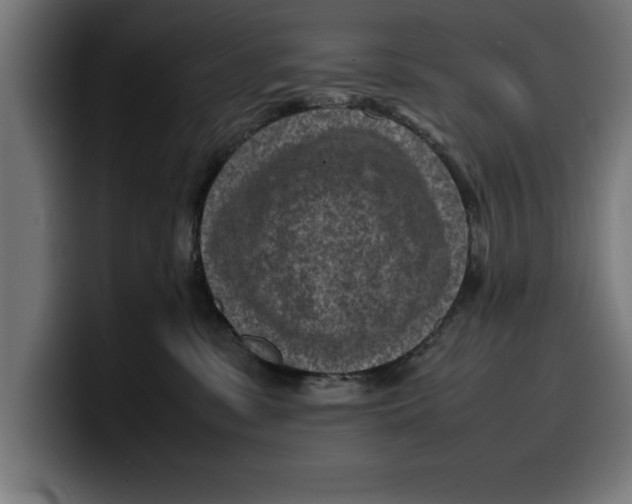 X0000099980331200806131404