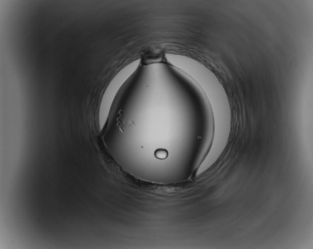 X0000099980332200806131404