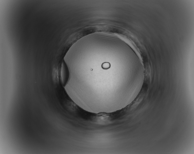 X0000099980333200806131404