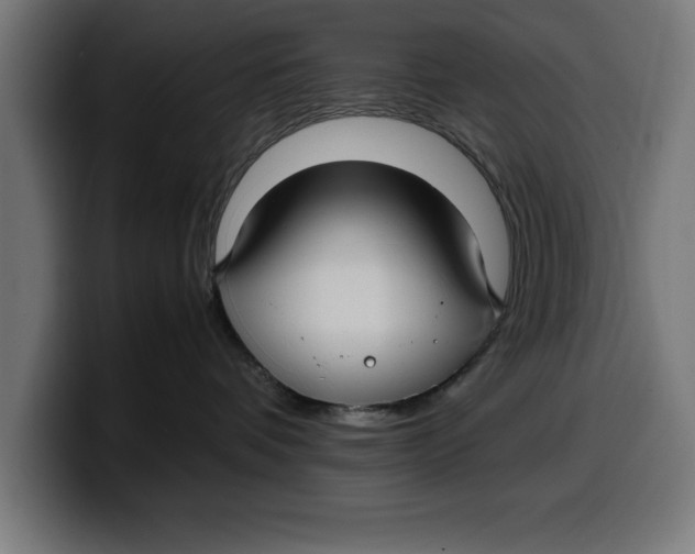 X0000099980336200806131404