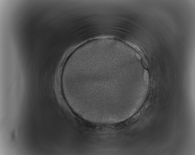 X0000099980337200806131404