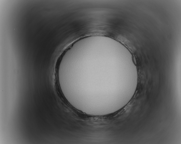 X0000099980338200806131404