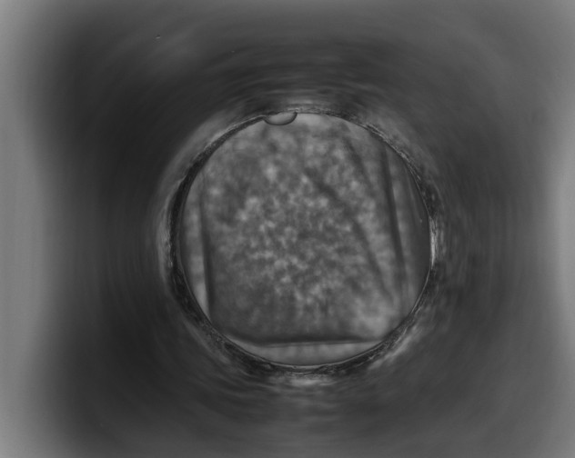 X0000099980339200806131404