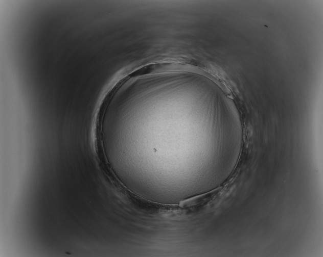 X0000099980340200806131404