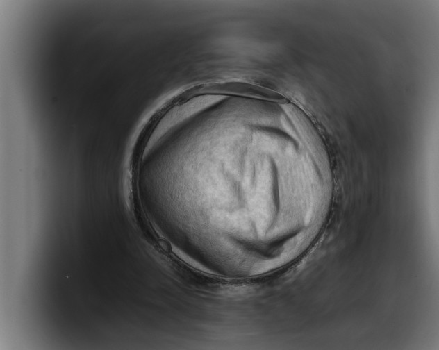 X0000099980342200806131404