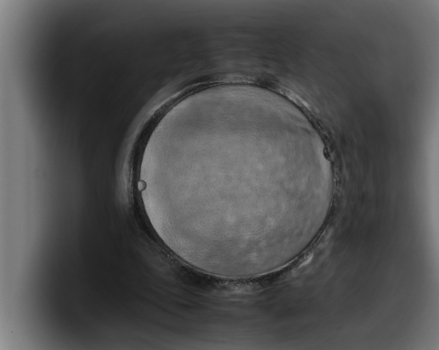 X0000099980343200806131404