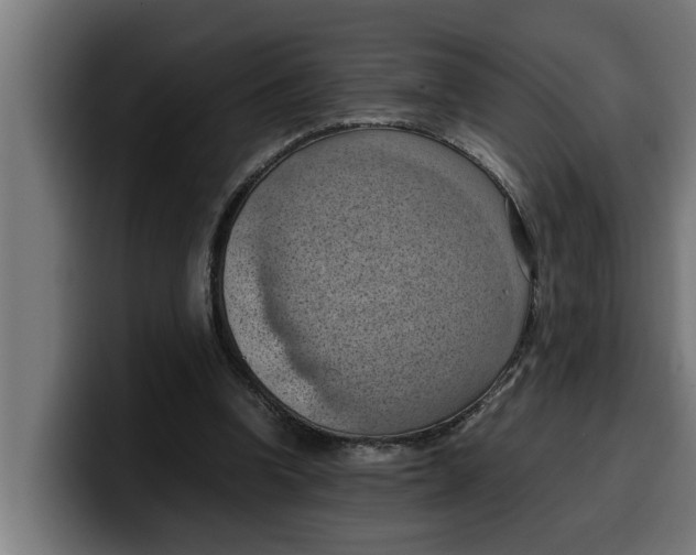 X0000099980346200806131404