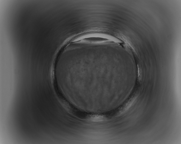 X0000099980348200806131404