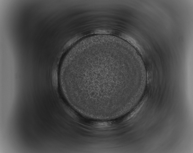 X0000099980349200806131404