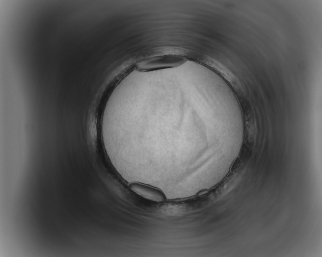 X0000099980350200806131404