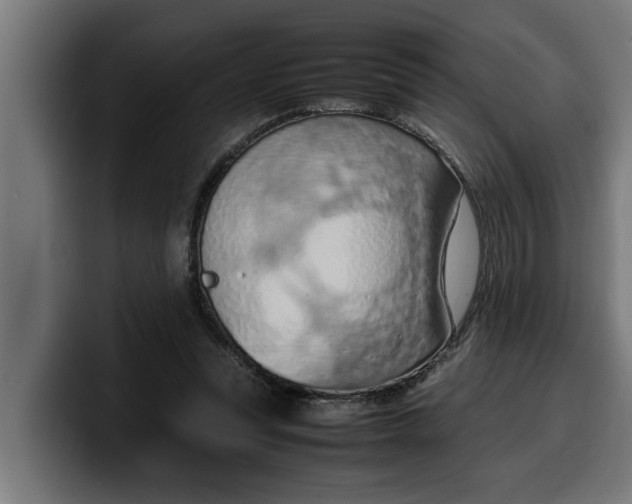 X0000099980351200806131404