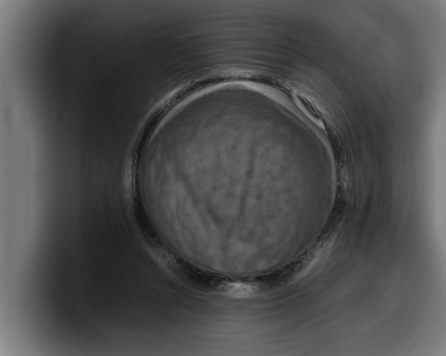 X0000099980352200806131404