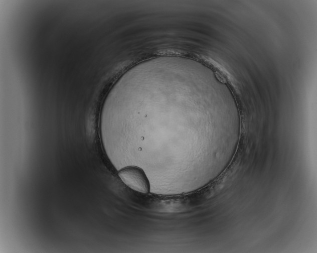 X0000099980353200806131404