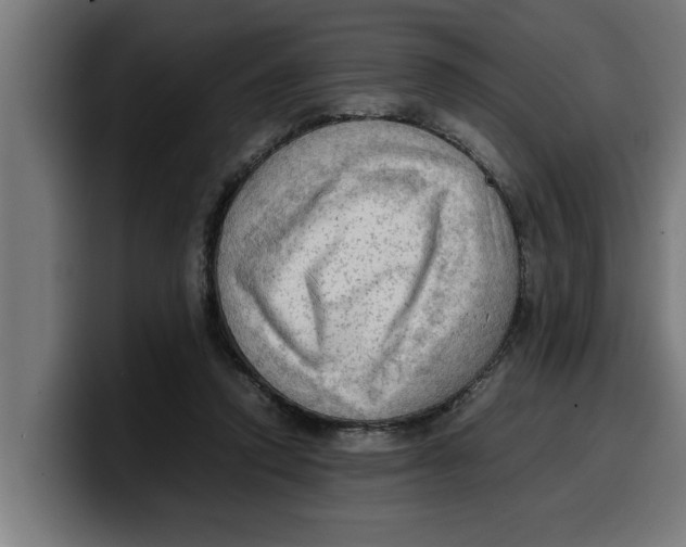 X0000099980354200806131404