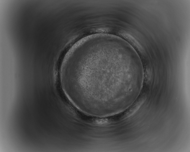 X0000099980355200806131404