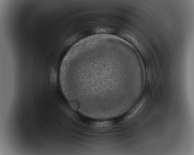 X0000099980357200806131404