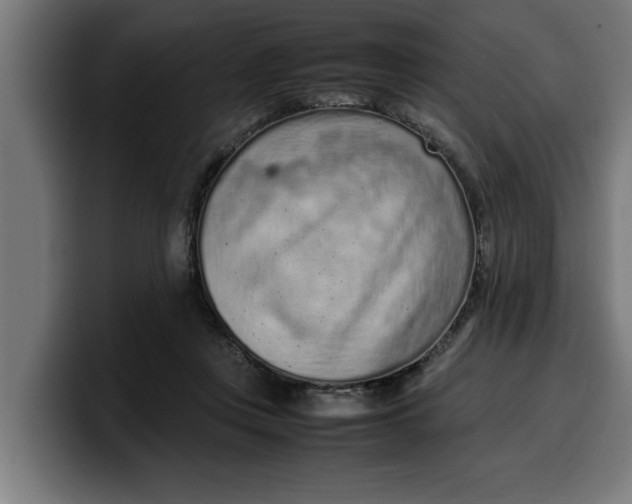 X0000099980359200806131404