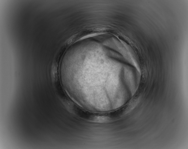 X0000099980360200806131404