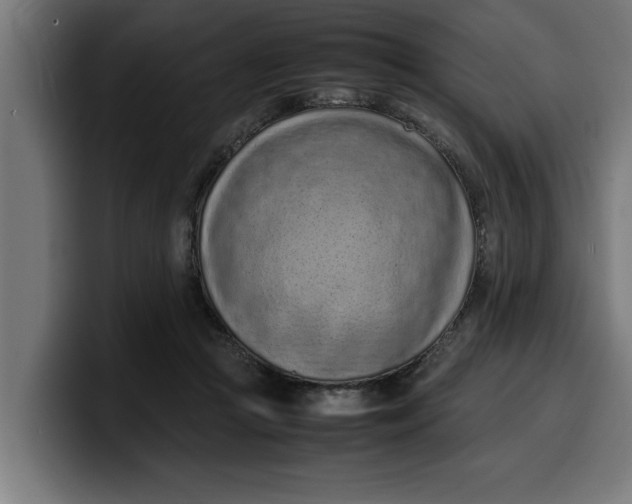 X0000099980361200806131404