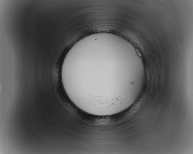 X0000099980362200806131404