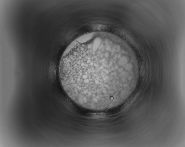 X0000099980363200806131404