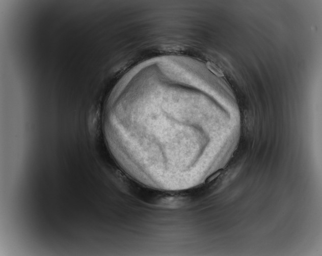 X0000099980364200806131404