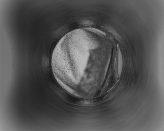 X0000099980365200806131404