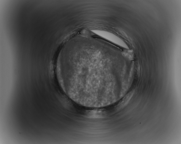 X0000099980366200806131404