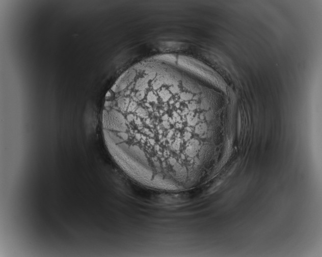 X0000099980367200806131404