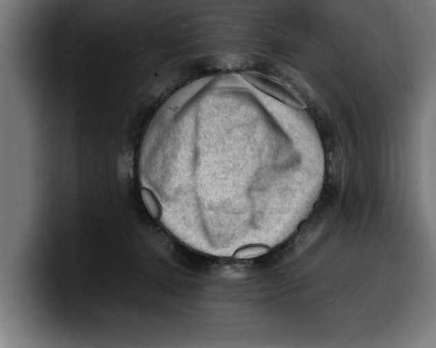 X0000099980368200806131404