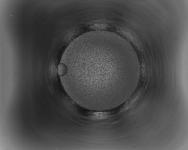 X0000099980371200806131404