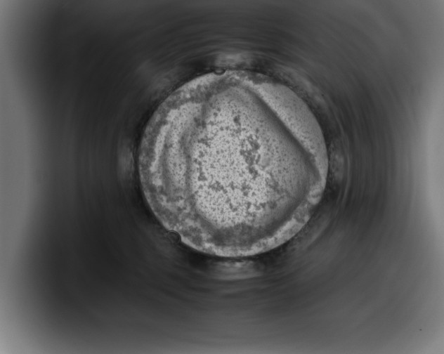 X0000099980375200806131404