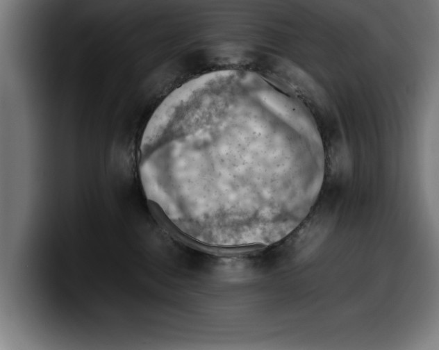 X0000099980376200806131404