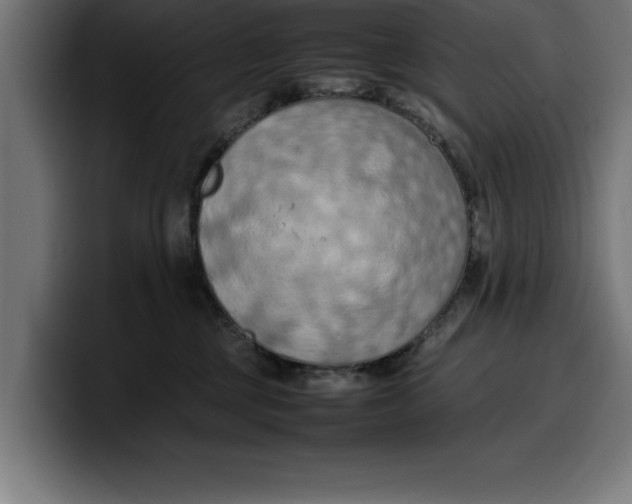 X0000099980377200806131404