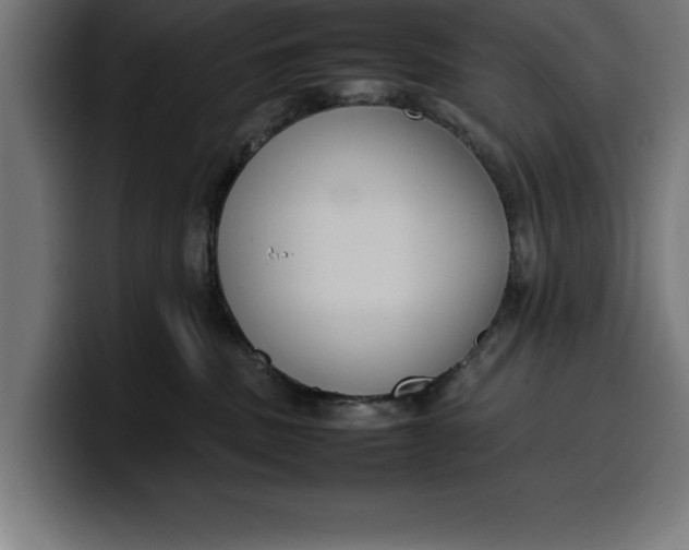 X0000099980379200806131404