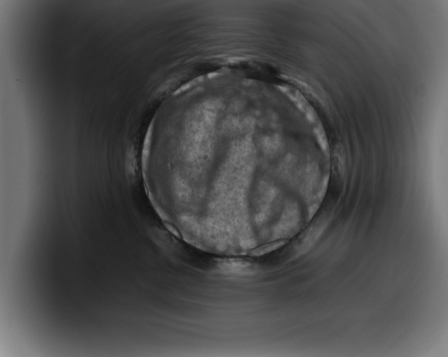 X0000099980380200806131404