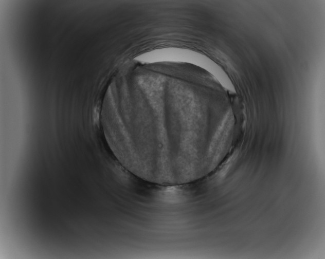 X0000099980382200806131404