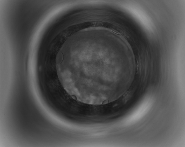 X0000099980383200806131404