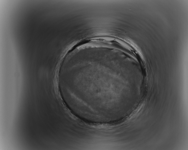 X0000099980385200806131404