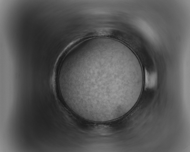 X0000099980387200806131403