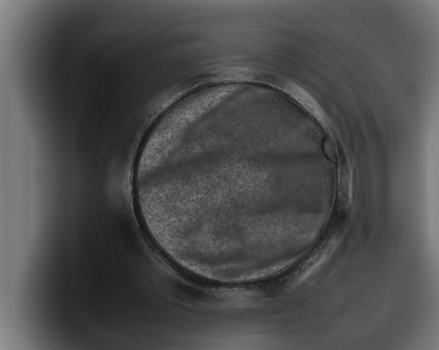 X0000099980389200806131403